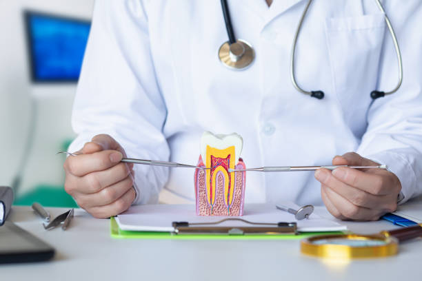 Best Emergency Root Canal Treatment in Powdersville, SC